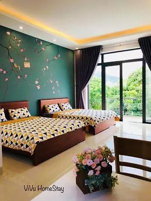 Vivu Homestay Vung Tau contacts